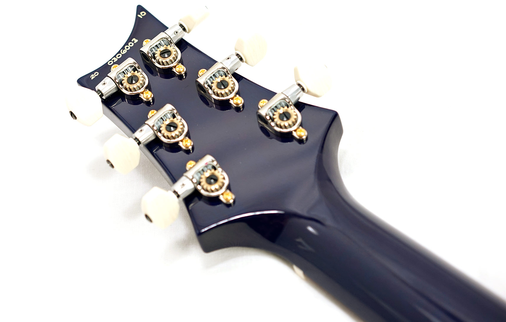 PRS Limited Edition DGT David Grissom 10 Top Model Custom Colour Faded Blue Burst