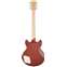 D'Angelico Limited Edition Deluxe Brighton Matte Walnut Back View