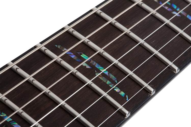Schecter C-1 Silver Mountain Toxic Venom Schecter C-1 Silver Mountain Toxic Venom