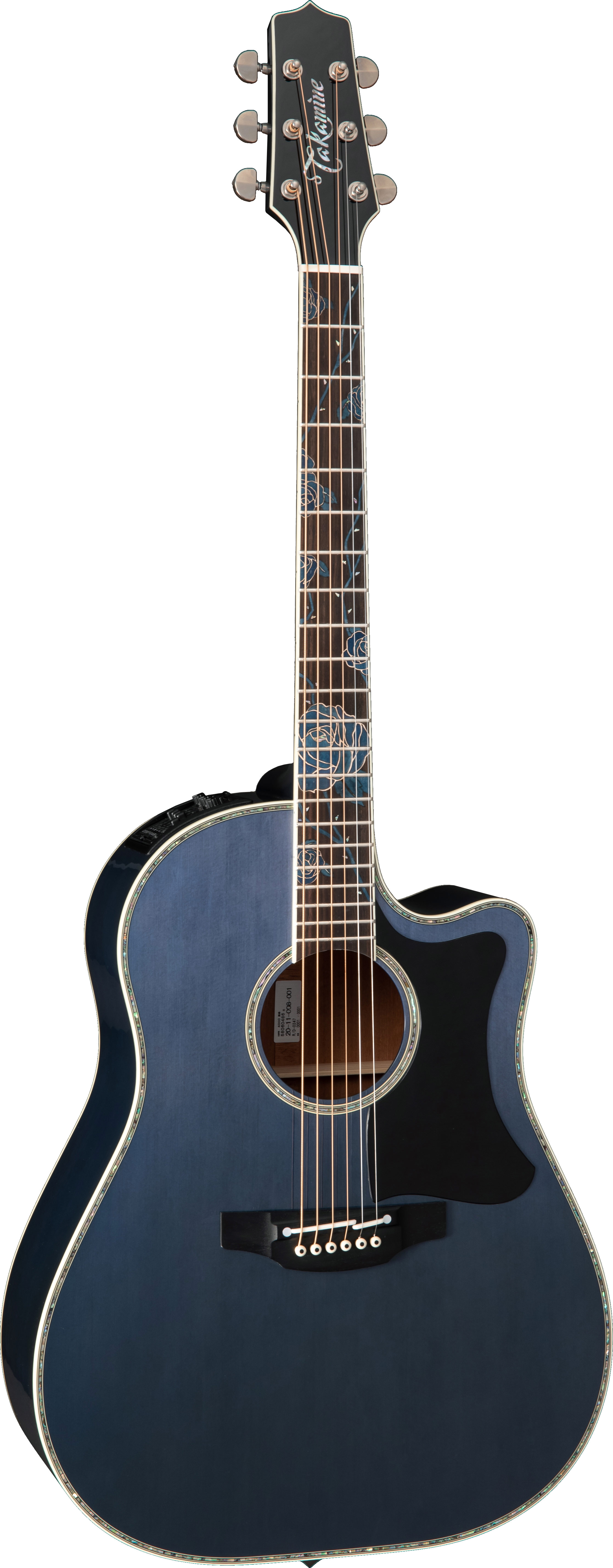 takamine 2021 ltd