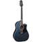Takamine Japanese Limited LTD2021 Front View