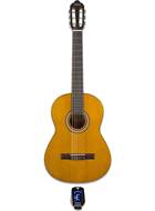Valencia guitarguitar Acoustic Pack 3/4 Size