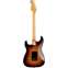 Fender Artist Stratocaster Stevie Ray Vaughan 3-Colour Sunburst Back View