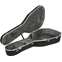 Hiscox Pro-GJ Jumbo Style Acoustic Guitar Case Front View