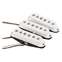 Fender Custom Shop Custom '54 Stratocaster Pickups Set of 3 Front View