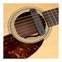 Fishman Neo-D Humbucker Acoustic Guitar Pickup Front View