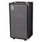 Ampeg SVT210AV Compact 2x10 Bass Cabinet Front View