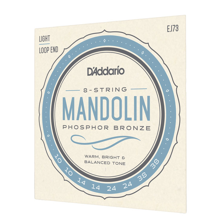 D'Addario EJ73 Mandolin PB Light 10-38