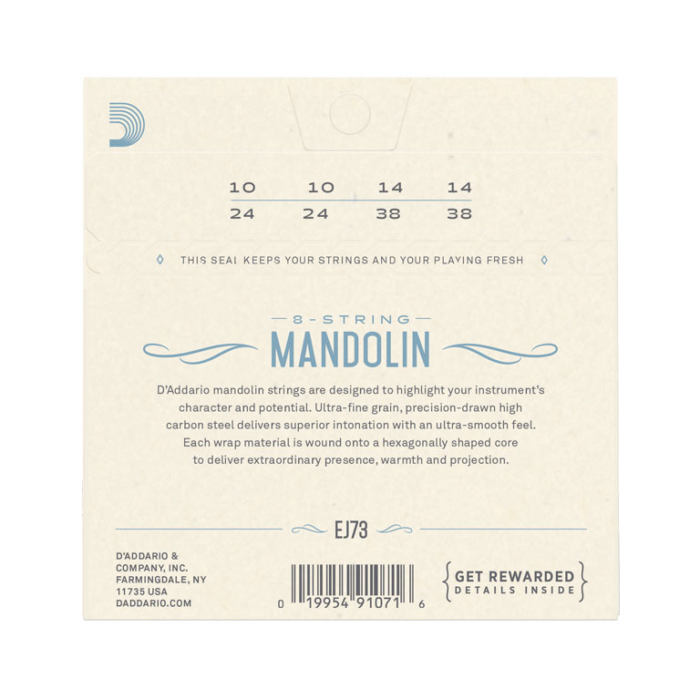 D'Addario EJ73 Mandolin PB Light 10-38
