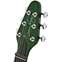 Brian May Special LE Emerald Green Front View