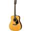 Yamaha F310 Acoustic Guitar Package Front View
