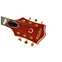 Gretsch G6120DE Duane Eddy Signature Hollow Body Front View