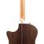 Taylor 814ce-N Nylon Grand Auditorium #1210024039