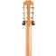 Taylor 814ce-N Nylon Grand Auditorium #1210024039