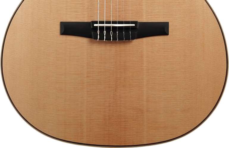 Taylor 814ce-N Nylon Grand Auditorium #1210024039 Taylor 814ce-N Nylon Grand Auditorium #1210024039
