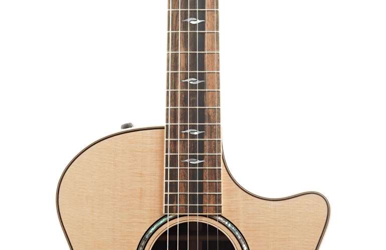 Taylor 814ce-N Nylon Grand Auditorium #1210024039 Taylor 814ce-N Nylon Grand Auditorium #1210024039