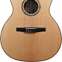 Taylor 814ce-N Nylon Grand Auditorium #1210024039