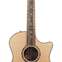 Taylor 814ce-N Nylon Grand Auditorium #1210024039