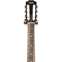 Taylor 814ce-N Nylon Grand Auditorium #1210024039