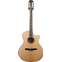 Taylor 814ce-N Nylon Grand Auditorium #1210024039 Front View