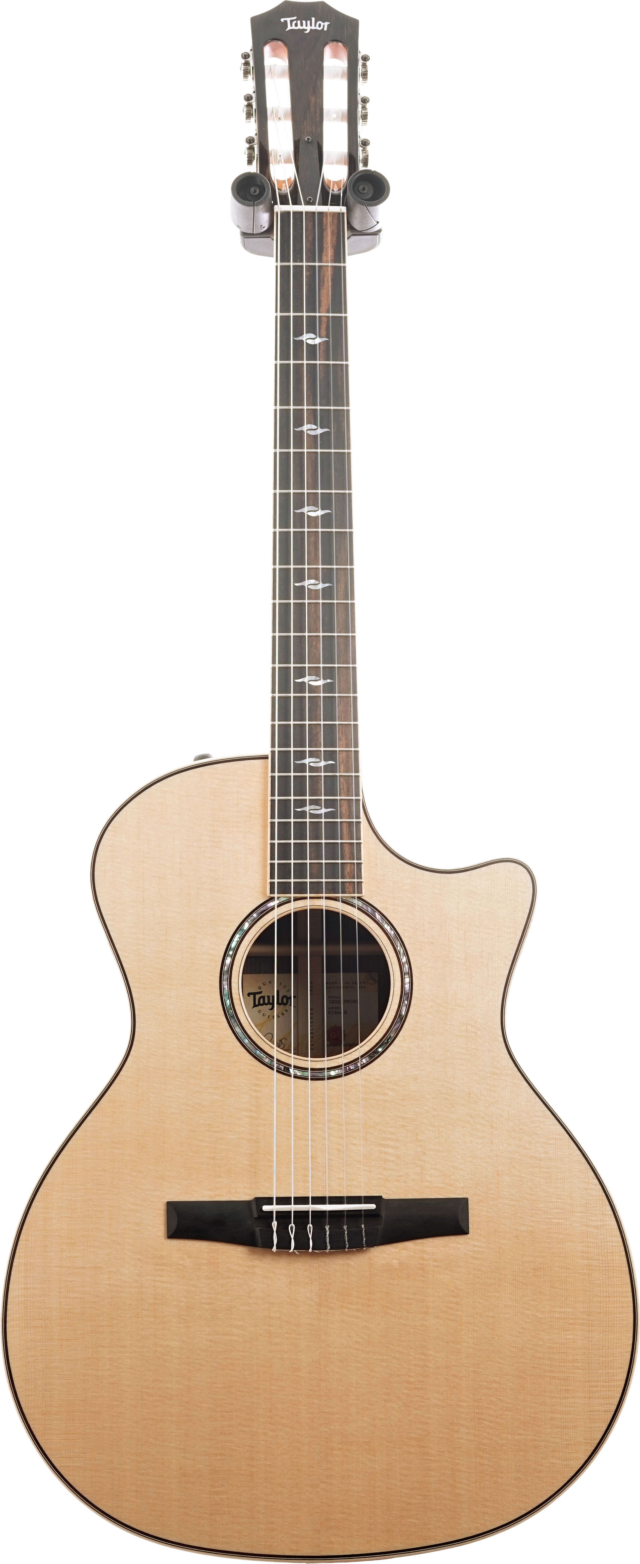 Taylor 800 Series 814ce-N Nylon Grand Auditorium Rosewood #1202136045