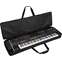 Roland CB76L 76 Note Keyboard Bag Back View