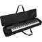 Roland CB88L 88 Note Keyboard Bag Back View
