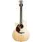 Martin Performing Artist GPCPA4L Left Handed Rosewood (Ex-Demo) #1853686 Front View