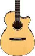 Ibanez AEG10NII Natural