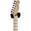 Fender Richie Kotzen Telecaster Brown Sunburst Maple Fingerboard (Ex-Demo) #JD21001634 