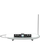 Moog Theremini