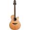Takamine GN20CE Natural Electro Acoustic (Ex-Demo) #CC210403531 Front View