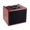 AER Compact 60 Stained Oak Solid State Acoustic Combo Amp Front View