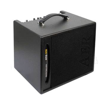 AER Amp One Solid State Bass Combo Amplifier