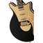 Brian May Special LE Black and Gold Front View