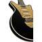 Brian May Special LE Black and Gold Front View