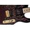 Fender James Burton Telecaster Red Paisley Flames Front View