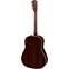 Eastman Traditional Series E20SS Slope Shoulder Dreadnought Back View
