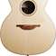 Lowden O32 Indian Rosewood Sitka Spruce #25133 