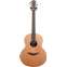 Lowden F25 IR/RC Indian Rosewood/Red Cedar Front View