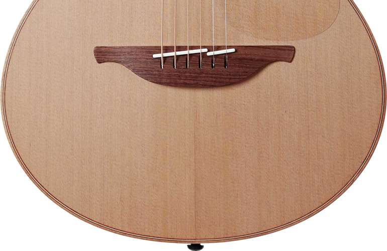 Lowden Wee Lowden WL25 East Indian Rosewood / Red Cedar #27880 Lowden Wee Lowden WL25 East Indian Rosewood / Red Cedar #27880