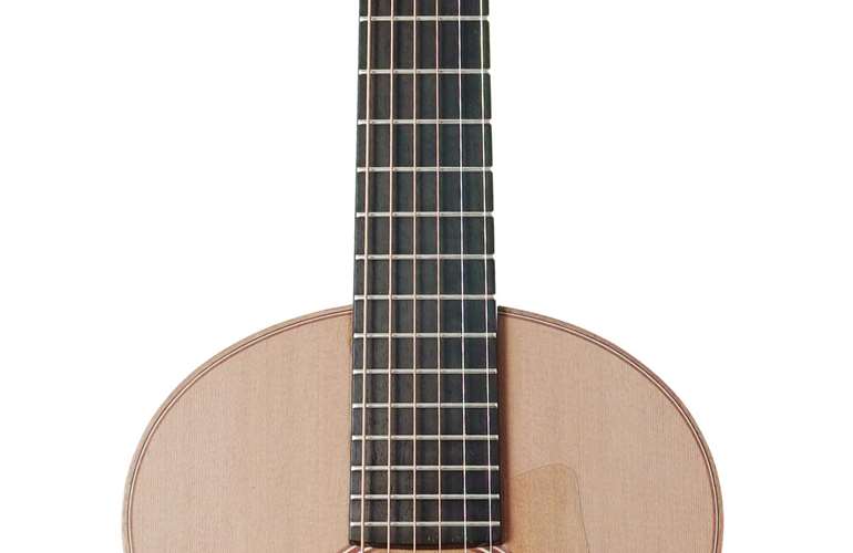 Lowden Wee Lowden WL25 East Indian Rosewood / Red Cedar #27880 Lowden Wee Lowden WL25 East Indian Rosewood / Red Cedar #27880