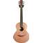 Lowden Wee Lowden WL25 East Indian Rosewood/Red Cedar #24044 Front View