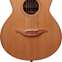 Lowden Wee Lowden WL25 East Indian Rosewood / Red Cedar #24767 