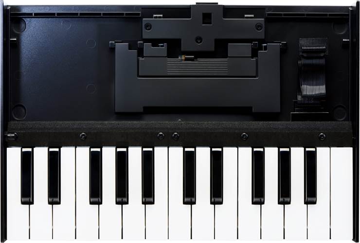 Roland K-25-M Keyboard 