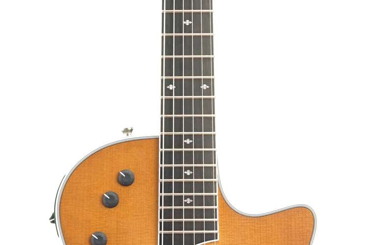 Taylor T5Z Standard Honey Sunburst Taylor T5Z Standard Honey Sunburst