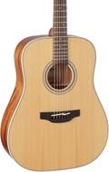 Takamine GD20NS