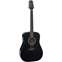 Takamine GD30BLK Front View