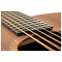 Lowden F50 African Blackwood Sinker Redwood with Bevel (Ex-Demo) #25929 Front View