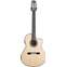 Cordoba 14 Maple Cutaway with Fishman Presys Blend Front View